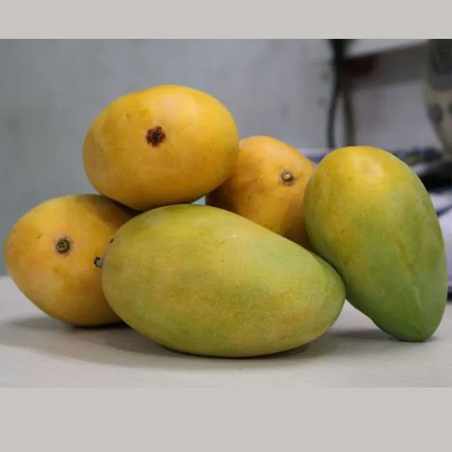 Farm Picked Mangoes (May 10th) - NC